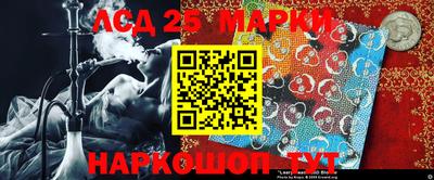 гашик Донской